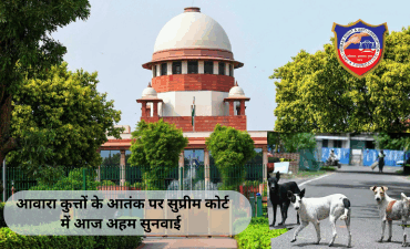 आवारा कुत्तों के आतंक पर सुप्रीम कोर्ट में आज अहम सुनवाई — देशभर में बढ़ती घटनाओं पर उठे सवाल