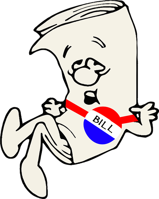 BJP Congress India Politics Parliament 2026